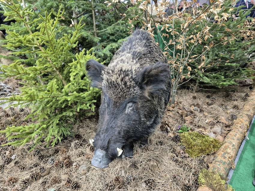 ��� ������: ������� �� ���� �� 0,57 ��./�� �� ����� ������� �� ����������