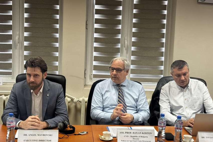 Ветеринари от 5 балкански държави с общи мерки срещу болестите по животните