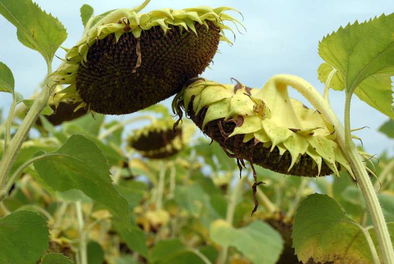 ������������ � �������� ��������� � �������