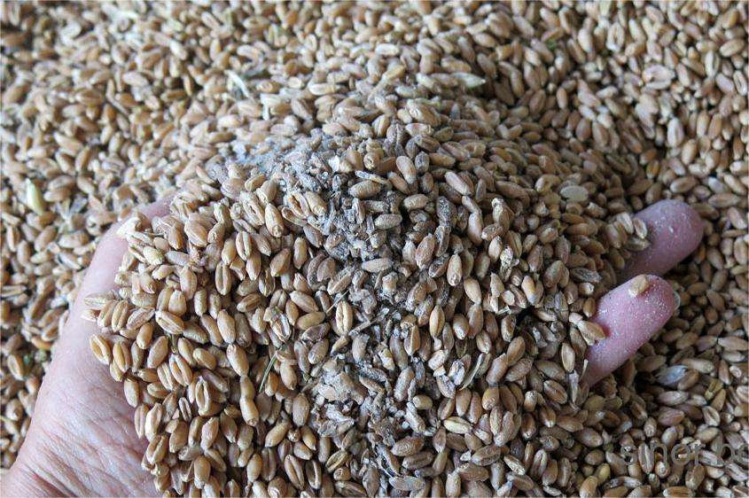 �������� �� �������� ������������������: �� 115 ����/�� �� ������� � ������