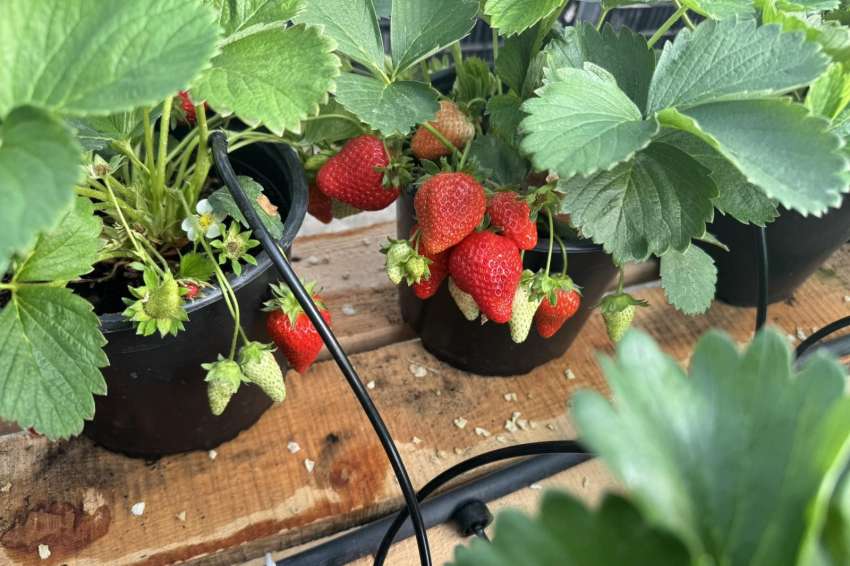 ����������� �� ������� � ���� � � ����� �� ����� �� ���� � ������ �������