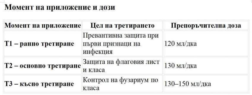 ������, ����������