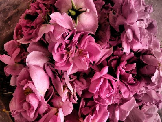 � ��� �� ������� �� ��������� ������������� � ������� �� ������� ���� 