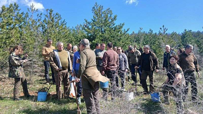 �������� � ����� ������ ��������� ������������� ��������� ���������� 