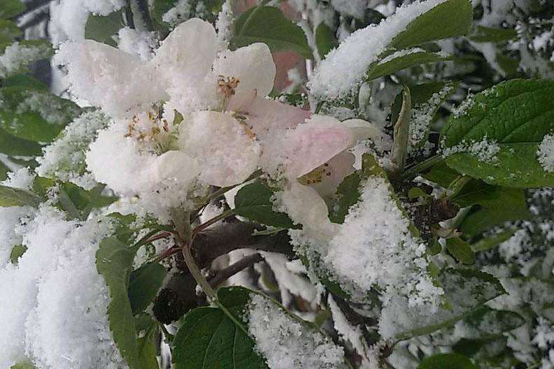 ���������� ����������� ������ ��������� ������ �� ���� �� ���������� 