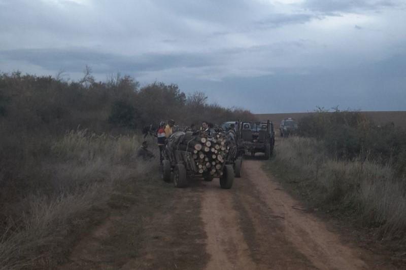 В централна северна България отчитат спад на нарушенията в горите през март