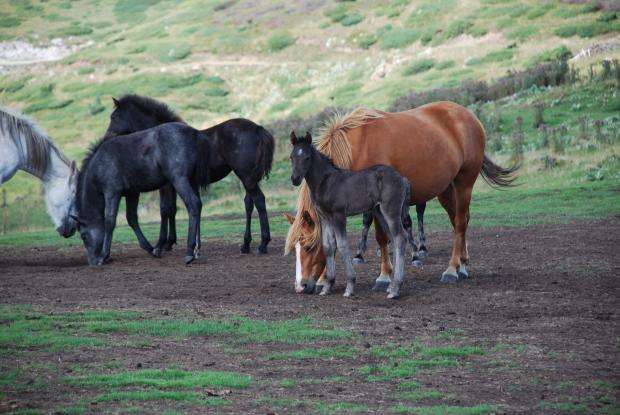 �������� ��� 16 ��������������� ����, �������� ���� � ������������ 