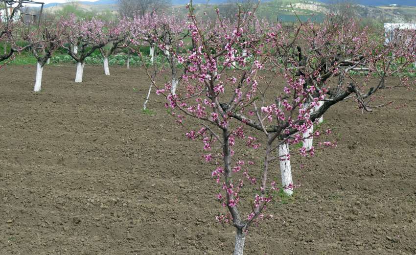 �� ������������ ���������� ������� � ������������� � �������� �������