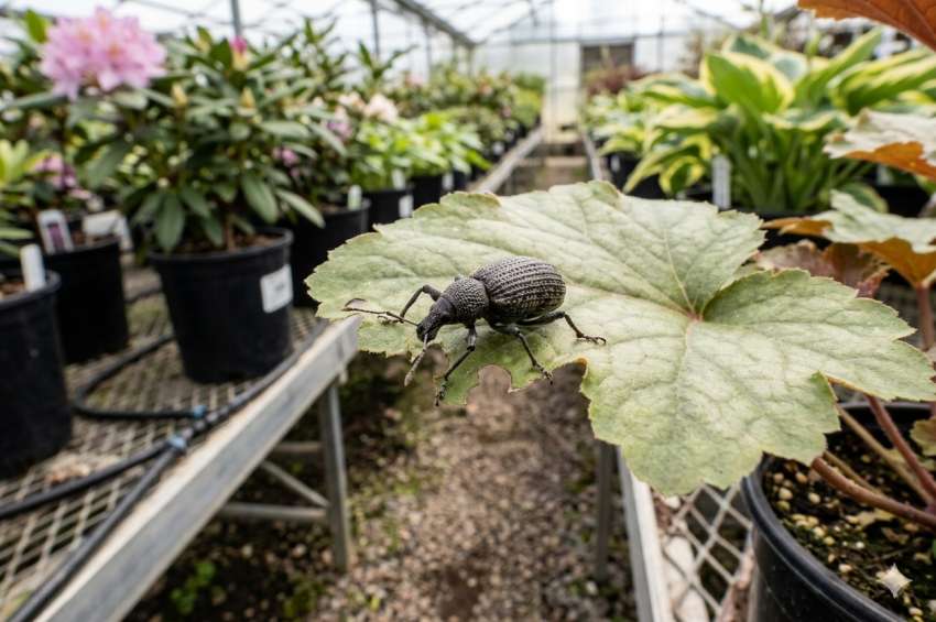 ����� � ������ ����� �������� � ������������ �� ����������� ��������