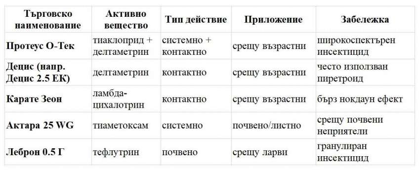 Лозов хоботник