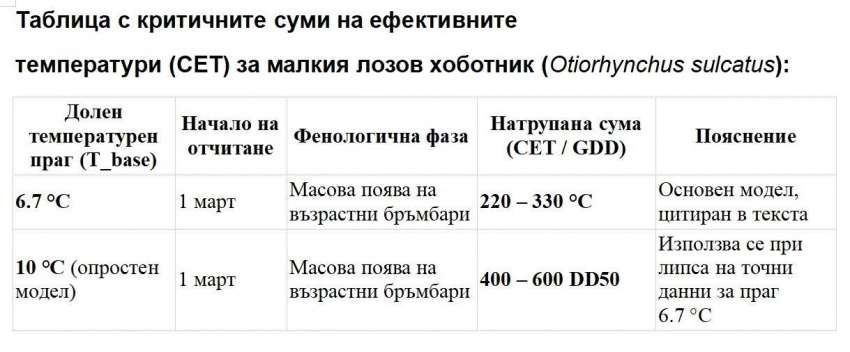 ����� ��������