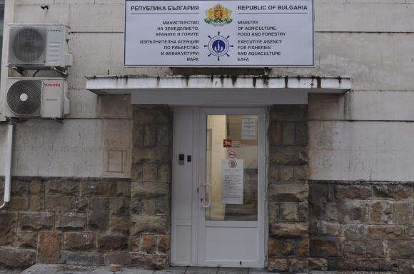 Забрана за улов на бяла мида в Черно море от 11 май до 1 юли