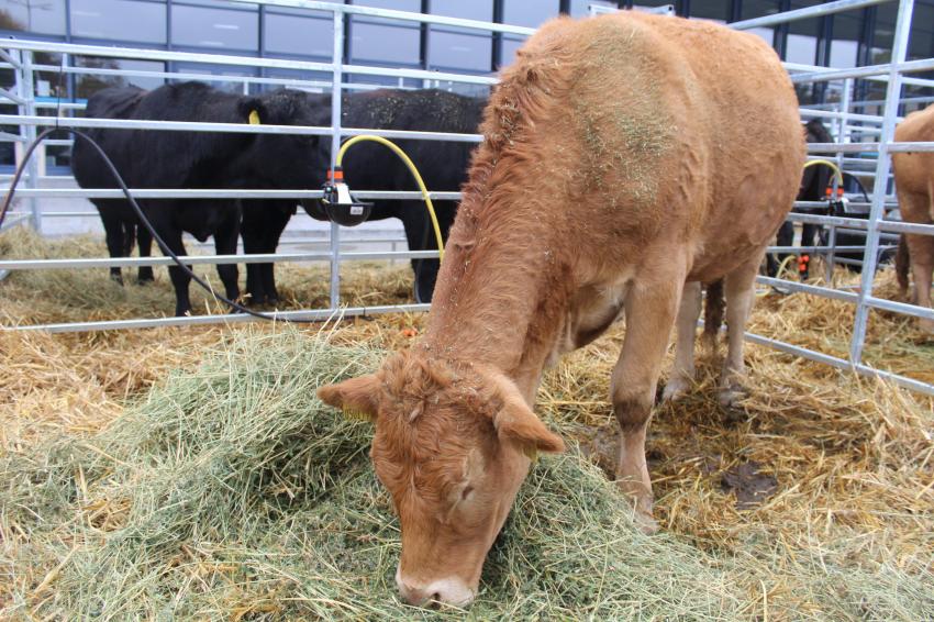 ����� de minimis �� ����������: ����� �� ��������� �� 27 �����