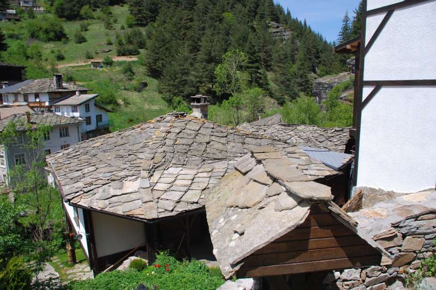 ��� ���������� ����� � �������� ���� �������� ����� �������� 2026