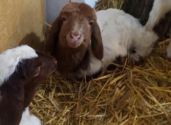 ����� � ���� �� ���� ������� �� ������ ��� ���������