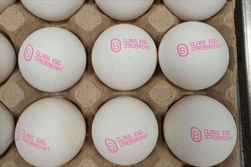 ���� ���� ����� �� 1,3 ��� ���� �� ������