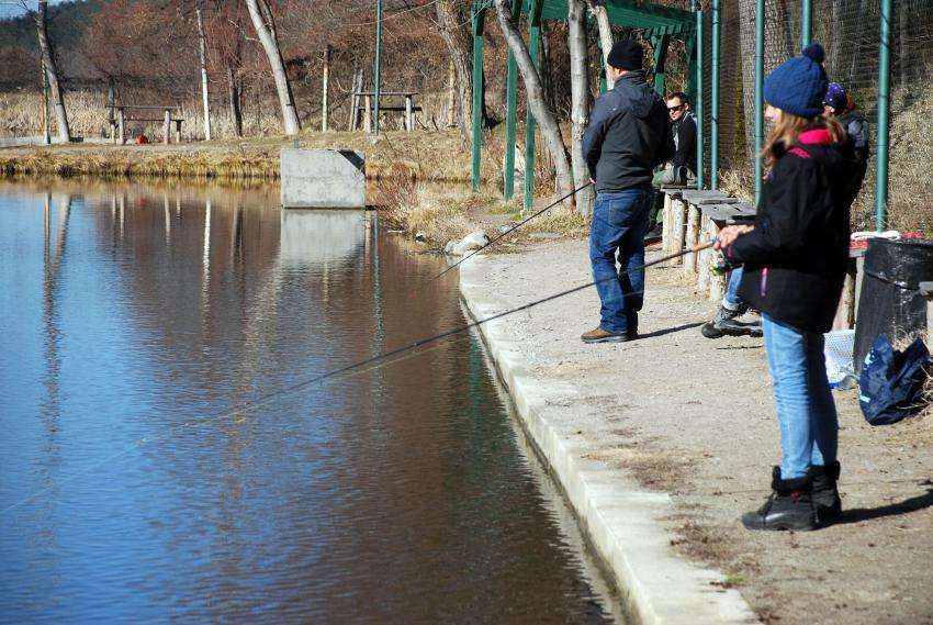 ������ ������� � ������������� ������, ��������� � ��������