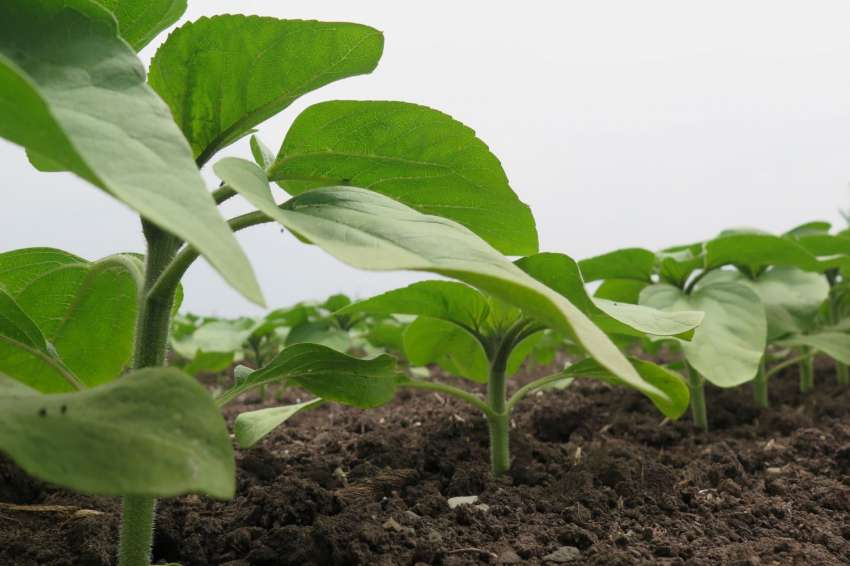 ������� - ��������� �������� � �������� �� ������������ ������� ��� ����������