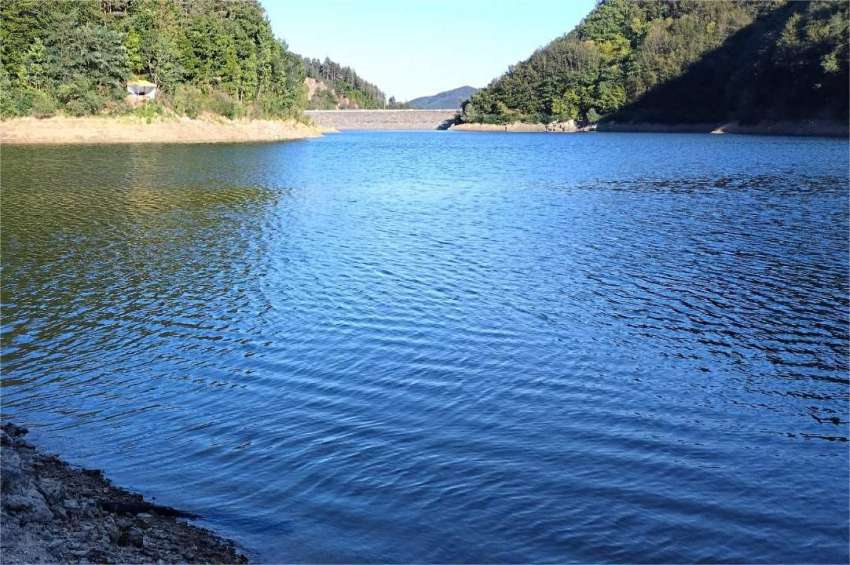 �� 20 ����� ���� ����� �� ����� de minimis �� 2025 �. �� ����������� ����