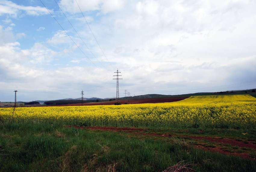 ������������� ��������� �� ������������ ������� � ��������