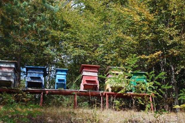 ��������� ������� �������� �� ������ ��������� � ���������� ��������� 