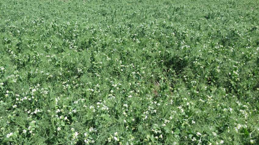 ������� ������� ��������� �������� ������ � ������ ���� � ���� ������� 