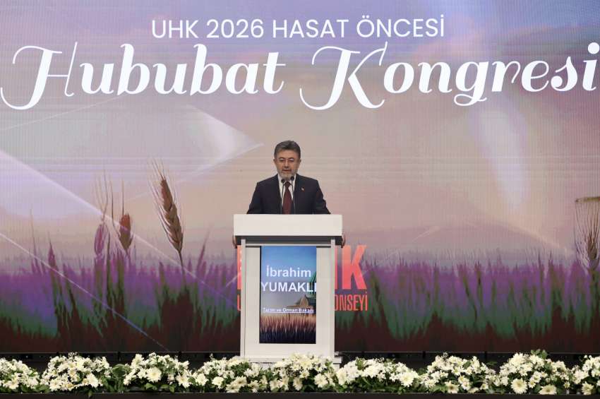 ������ ������ �������� ������� ������� � ��������� ������� ����