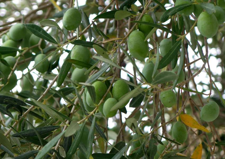 ������� �� ������ ���� 2026 �.: ������������ ��� 3 ���. ���� � ������ ���� � ������