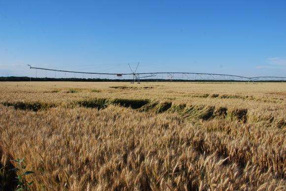 � �������� �� �������� 758 200 ������, ����������� ����� ���-����� ����� 