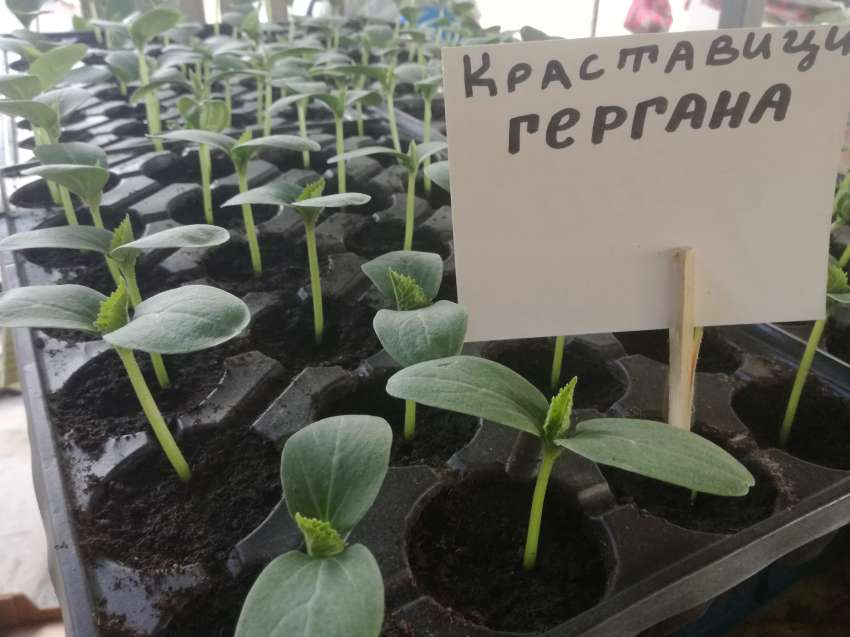 ����� ����� � ���������� �� ������� �� ����������?