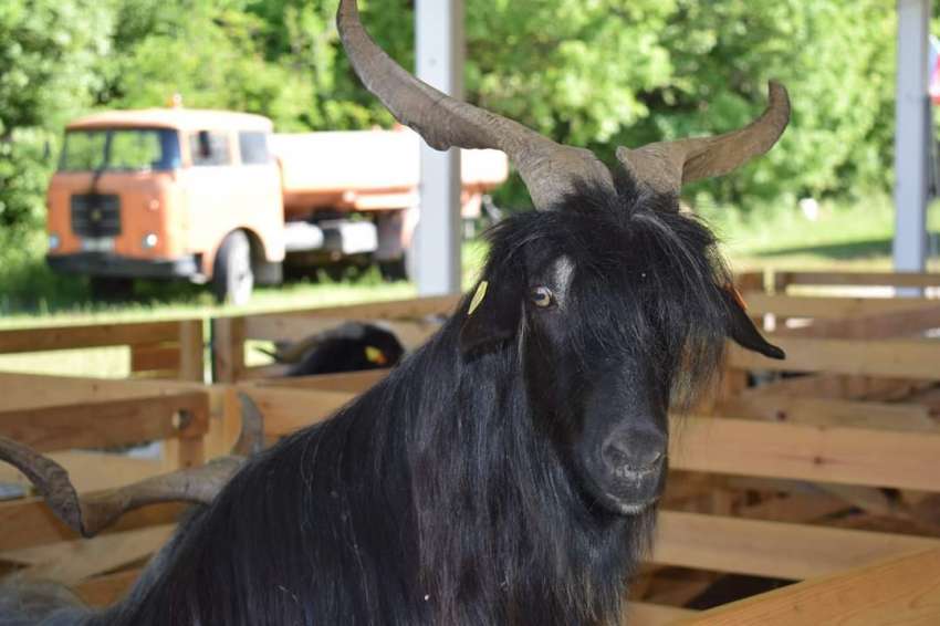 ���������� ��������� �� ������� �� ������� ��� 6 ���. ���� ���� 2026 �.