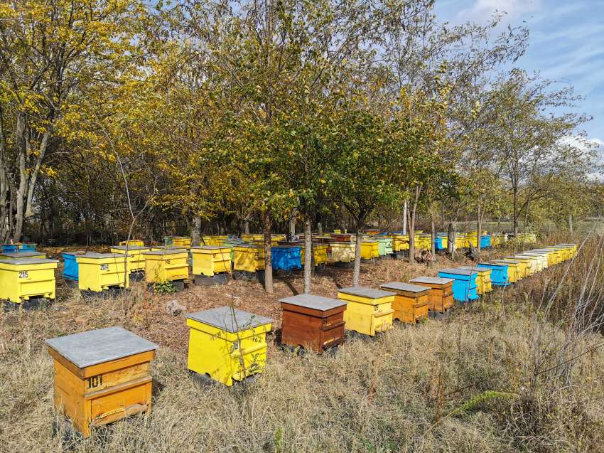 ��� ���� �� ������� ������ �� ������� � ����������� �� ����