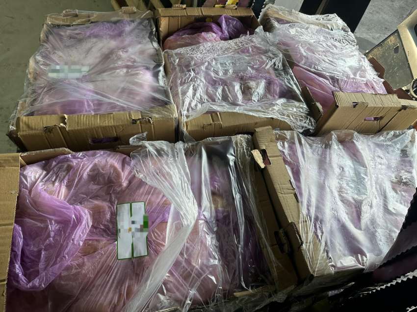 ���� ���� ��� 1,5 ���� ������ ������� ���� ��� ���������