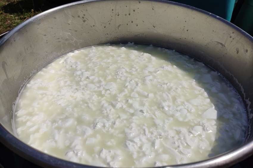 �������� ��������������: ������ ����������� �� ����� � ���� ��� ����������� ��������