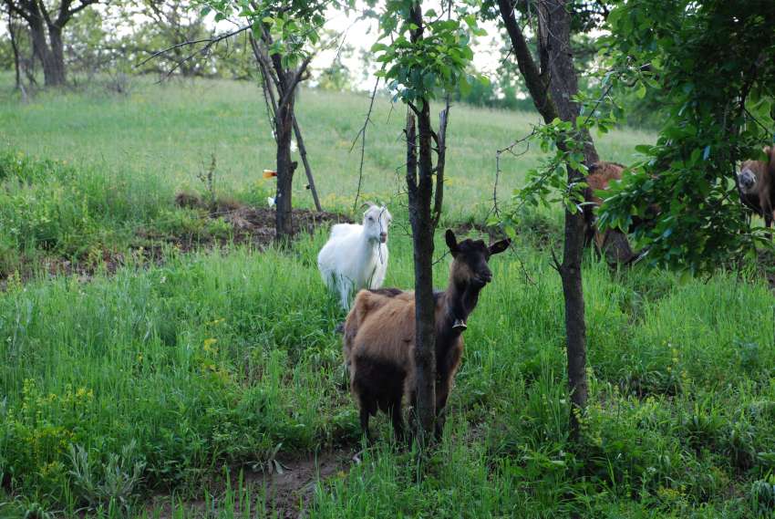 ������� ����� ������� � ����� �� �������� �� ������ � ������� ������