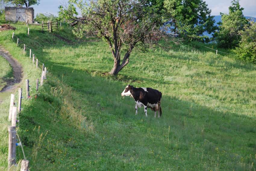 ����������������� 2026: ���� ������� � �������� �� 516 ���� �� ������