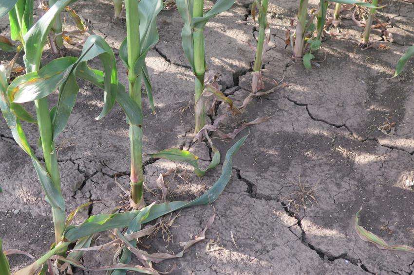 �������� ������ ��� �� ����������� �� ���� ����� ���� 2024 �. ������ 2007 �.