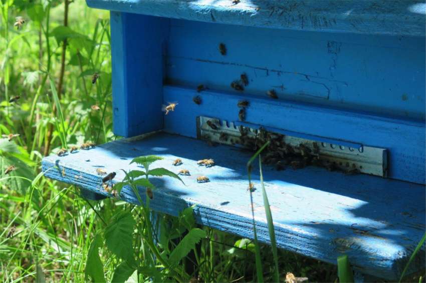 �� ����������� � �������� ������� � ������ �� �� �������� �� 1 778 �� 4  366 ���� �� ����������