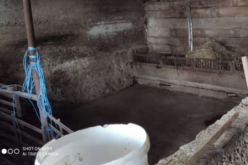 ���� ������� ��� ��� �������, ������ ������� � ���� �������