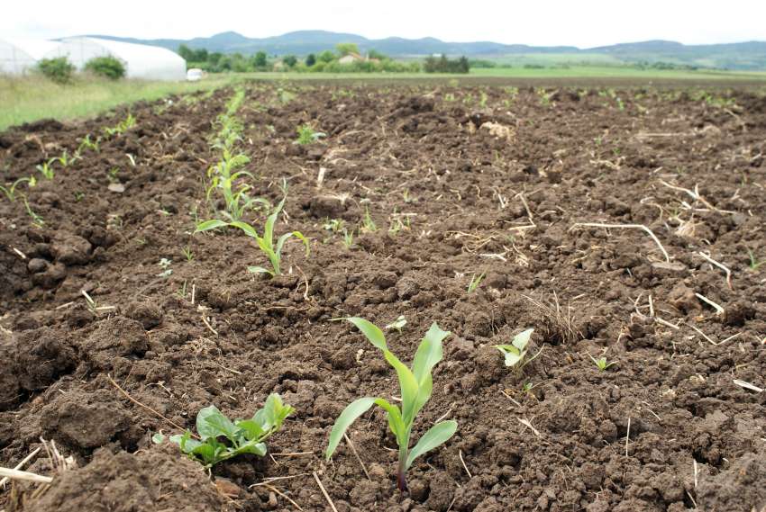 ����������� �������� �� ����� ���� �� ����������!