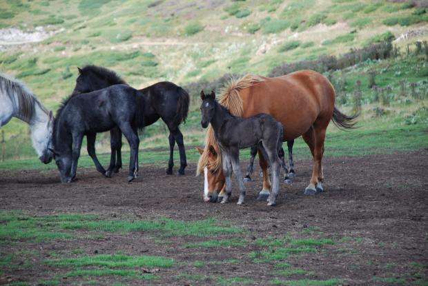 ���� ����� 321 ��������� ������� � ����� � �������� 