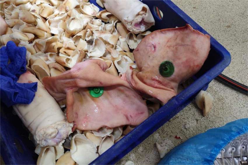 ��� 3,5 ���� ����� � ������������������� ����������� � ���� ������ �� ����� ���������