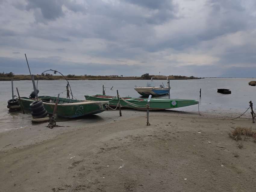 ��������: ���� � ������������� � �� ���� 2024 �.