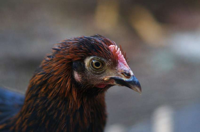 �� ���������� 27 ����� ������� ������� �� ��������� �� ������� ��������� ��� �����