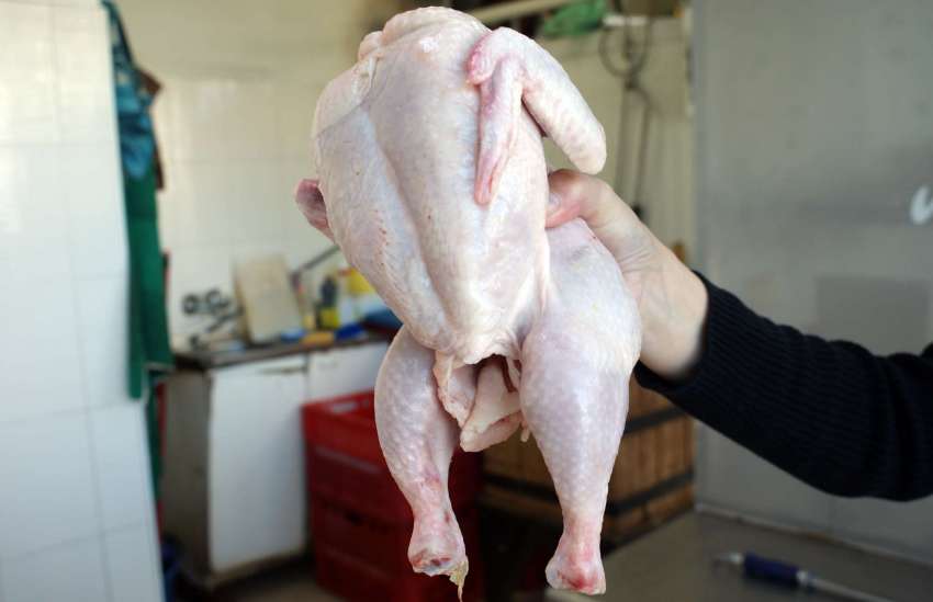 � ������� ������� ���� ���� � ������ �� ����� ���� ���� �������� ������