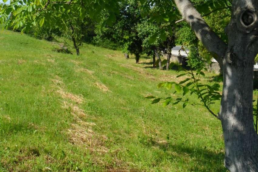 �� ������� �� ���� ������� � ��������� � ������� ���� �������� ��������� 