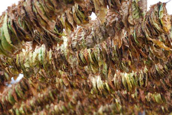 ������������� �� ��������������� �� ����� �� �������� � ����� � �� 29 ���