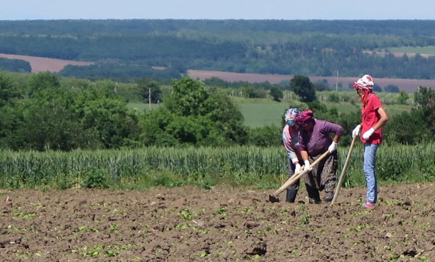 ���������� ������ � ����������� � ���� ������� � ��� ����� ������ �� ������