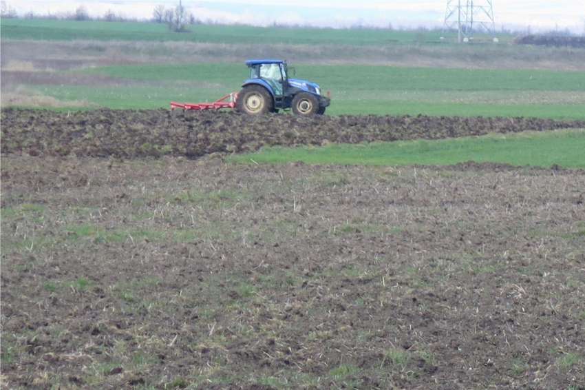 ������ �� ����� ��� 7000 ��� �������� ���� ���� ����������� ��������� ��������