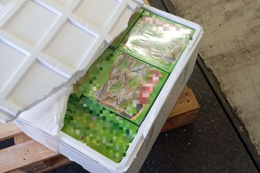 ����� ��� ������ �������� ��� ��������� �� ������ �� ���������